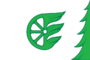 Flag of Shakhunya district (Nizhny Novgorod oblast).png