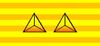 Lieutenant General rank insignia (ROC, NRA).jpg