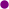 Location dot purple.svg