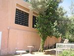 Mane Catz Museum (8).JPG