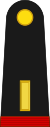Mexico army OF1a.svg