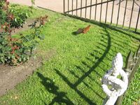 Pavlovsk park1026.jpg