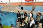 RQ-170 in Iran.jpg