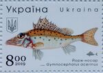 Stamp of Ukraine s1787 Gymnocephalus acerinus.jpg