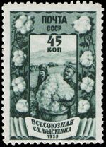The Soviet Union 1939 CPA 681 stamp (Cotton Farming).jpg