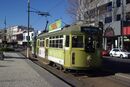 Tram in Bendigo.jpg
