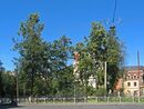 Лодейнопольский сквер2.jpg