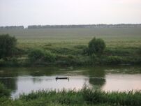 Прогулки по воде.JPG