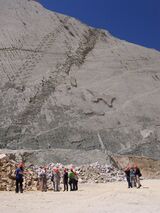 Dinosaur tracks in Bolivia 2.jpg