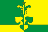 Флаг