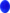 Nappina blu.png