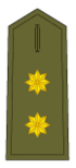 Teniente Coronel
