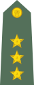Captain (armed forces)