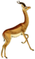 The book of antelopes (1894) Lithocranius walleri (white background).png