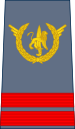 02-ROCongo Air Force-CPL.svg