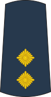 10-Serbian Air Force-LT.svg