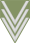 Belarus BKA 1944 - Kapral.svg