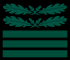 Oberst Staf OF5 cam slv 1945.svg
