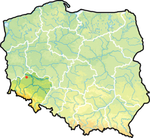 Радванице на карте