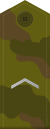Rus efreitor field.svg