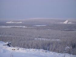 Jogen bassein Verhojanskanno