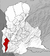 VE-S-junin.png