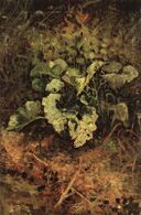 Лопухи 1880-е (Шишкин).jpg