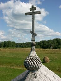 Луковичная главка, покрытая лемехом