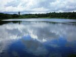 EdgbastonPool001.JPG