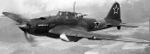 Il2 sturmovik.jpg
