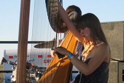 Joanna Newsom tunes harp.jpg
