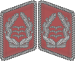 Luftwaffe collar tabs Oberst 3D.svg