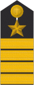 MDS 53 Kapitän zur See Trp.svg