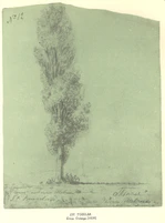 Taras Shevchenko painting 0237.jpg