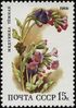 The Soviet Union 1988 CPA 5967 stamp (Deciduous forest flowers. Unspotted lungwort).jpg