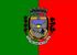 Bandeira-sao jose de uba.JPG