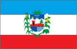 Флаг