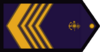 CP-ARA.png