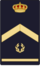 Cnpdivisme7.png