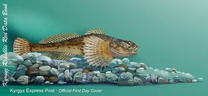 Fish 2021 cover of Kyrgyzstan cr.jpg