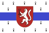 Флаг[d]