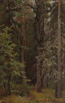 Mixed Forest (Shishkin).jpg