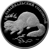RR5110-0113R.png