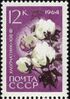 The Soviet Union 1964 CPA 3068 stamp (Agricultural Crops of the USSR. Gossypium or cotton plant '108 F' (Gossypium sp.)).jpg