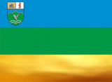 Флаг[d]