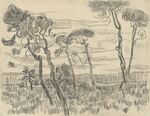 Vincent Van Gogh - Six pines near the enclosure wall (1889).jpg