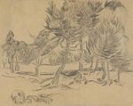 Vincent van Gogh - A Group of Pine Trees, F 1567 JH 1828.jpg