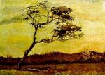Wind-Beaten Tree, A.jpg