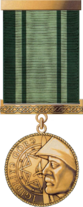 "İgidliyə görə" medalı.png