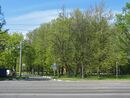 Кушелевский сквер03.JPG